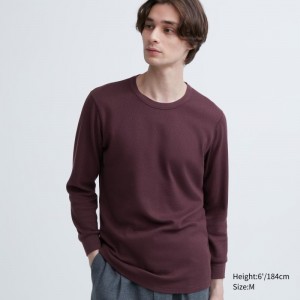 Uniqlo Heattech Cotton Waffle Crew Neck Extra Warm T-shirt Herr Vinröda | 5585522